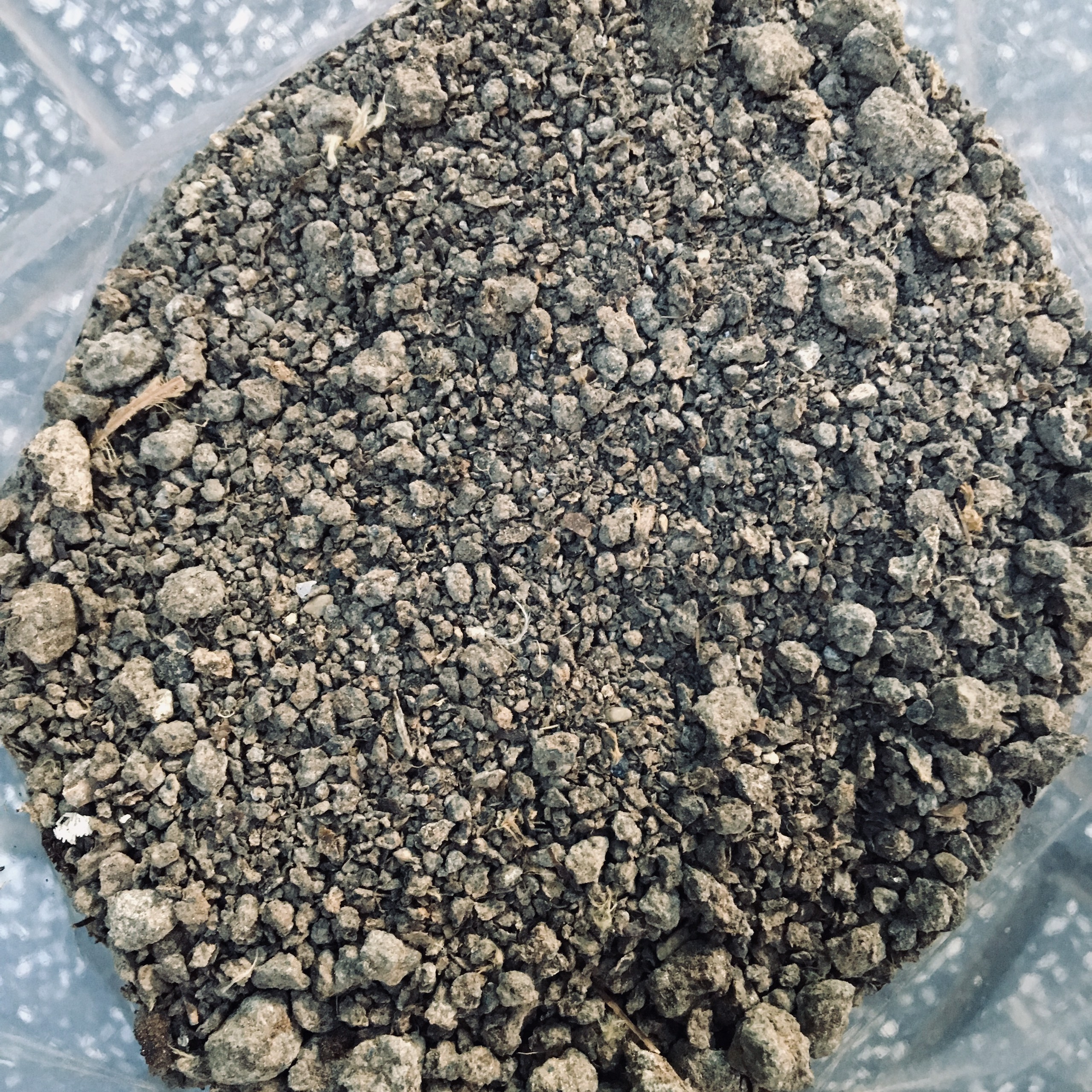 1kg phân gà nhật bản hữu cơ 100% làm từ phân gà