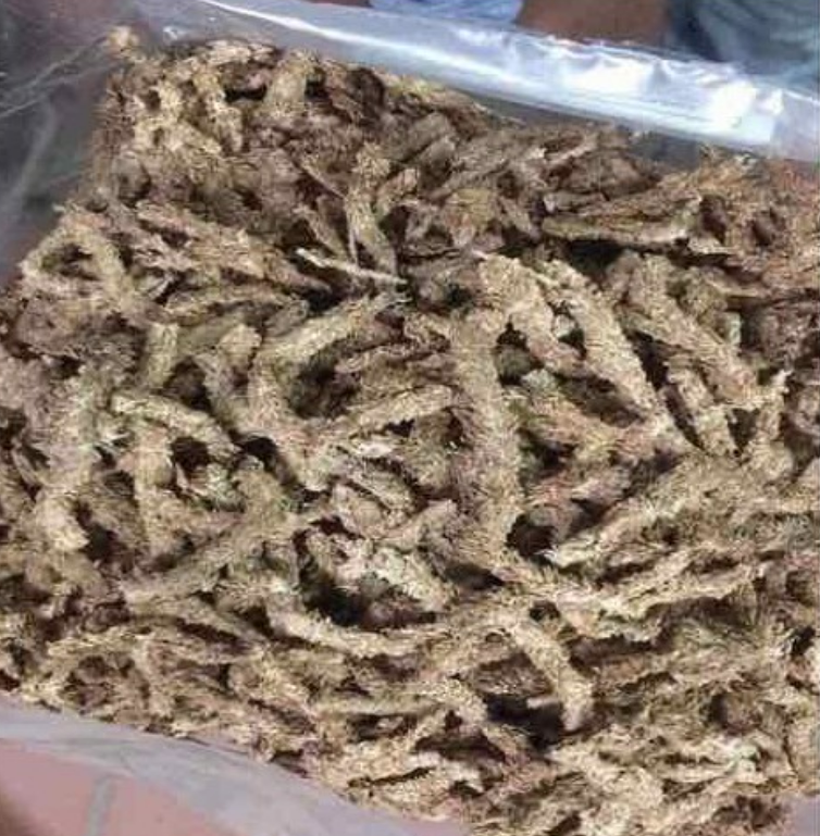 100g rêu sâu chile trồng lan - 100g rêu sâu