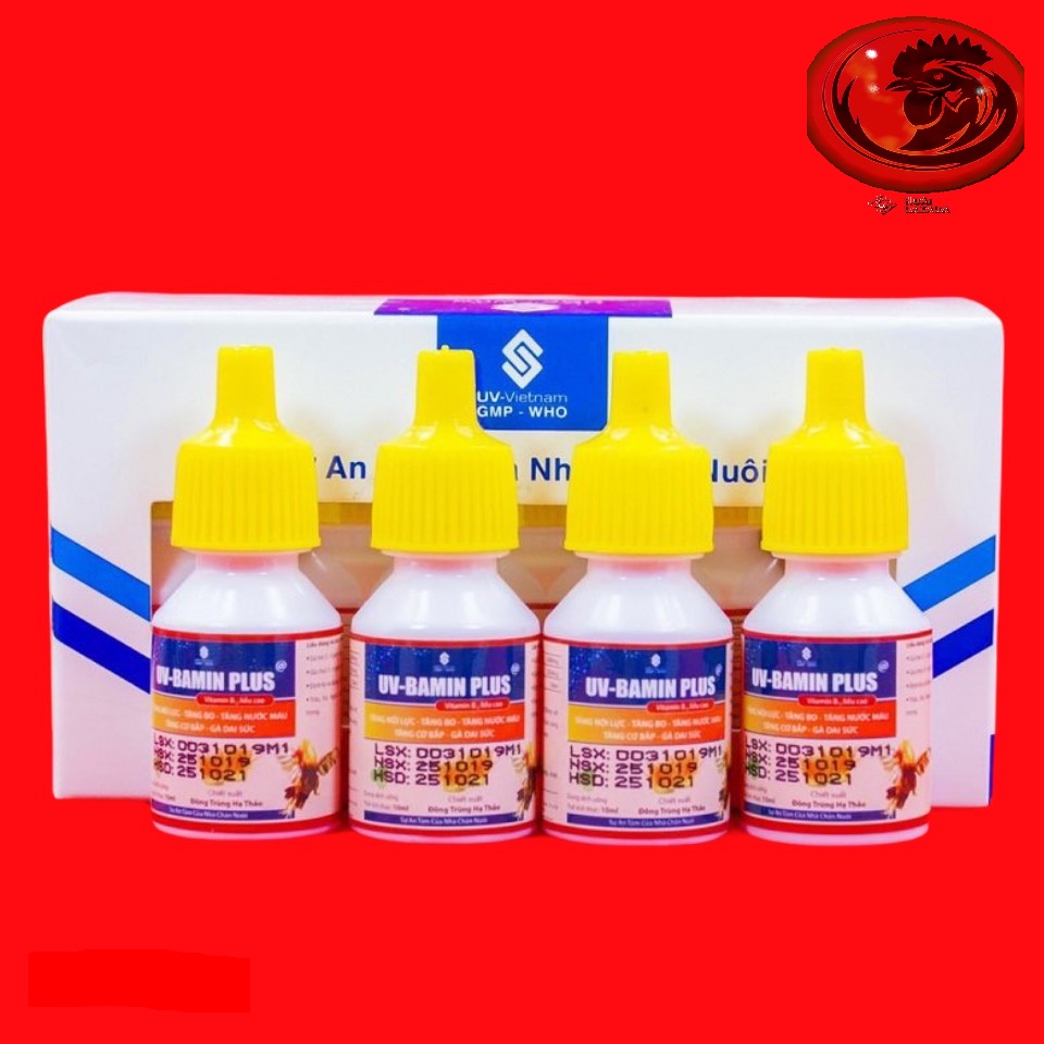 Combo 4 lọ uv - bamin plus tăng nội lực - tăng cơ - tăng nước máu 1 lọ 10ml