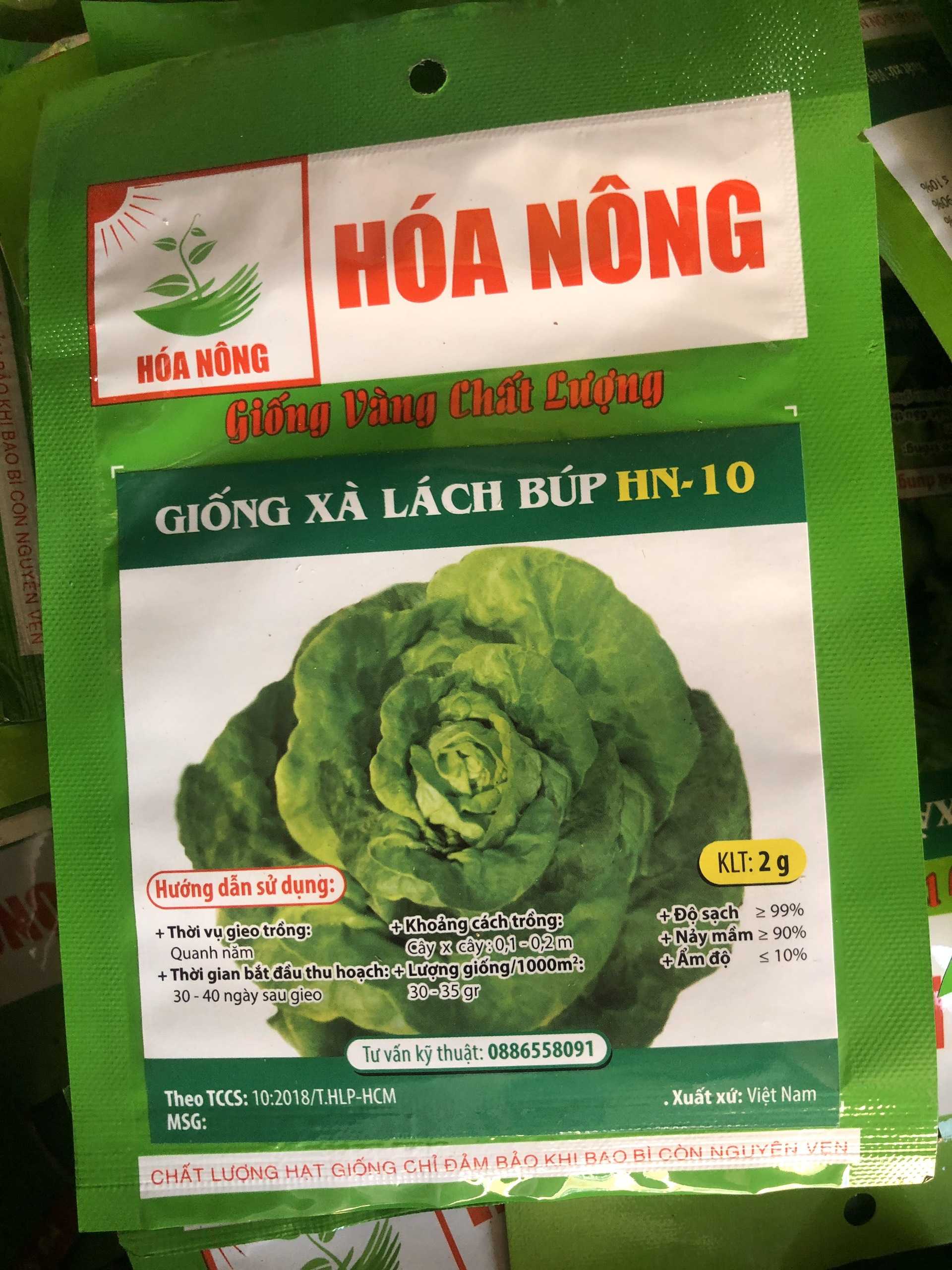 Rau xà lách búp HN 10. Hatagarden
