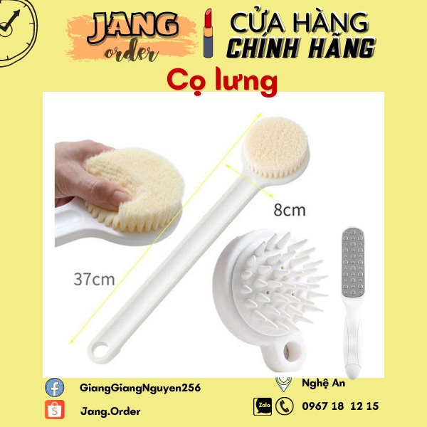 Cây bàn chải cọ lưng chà lưng