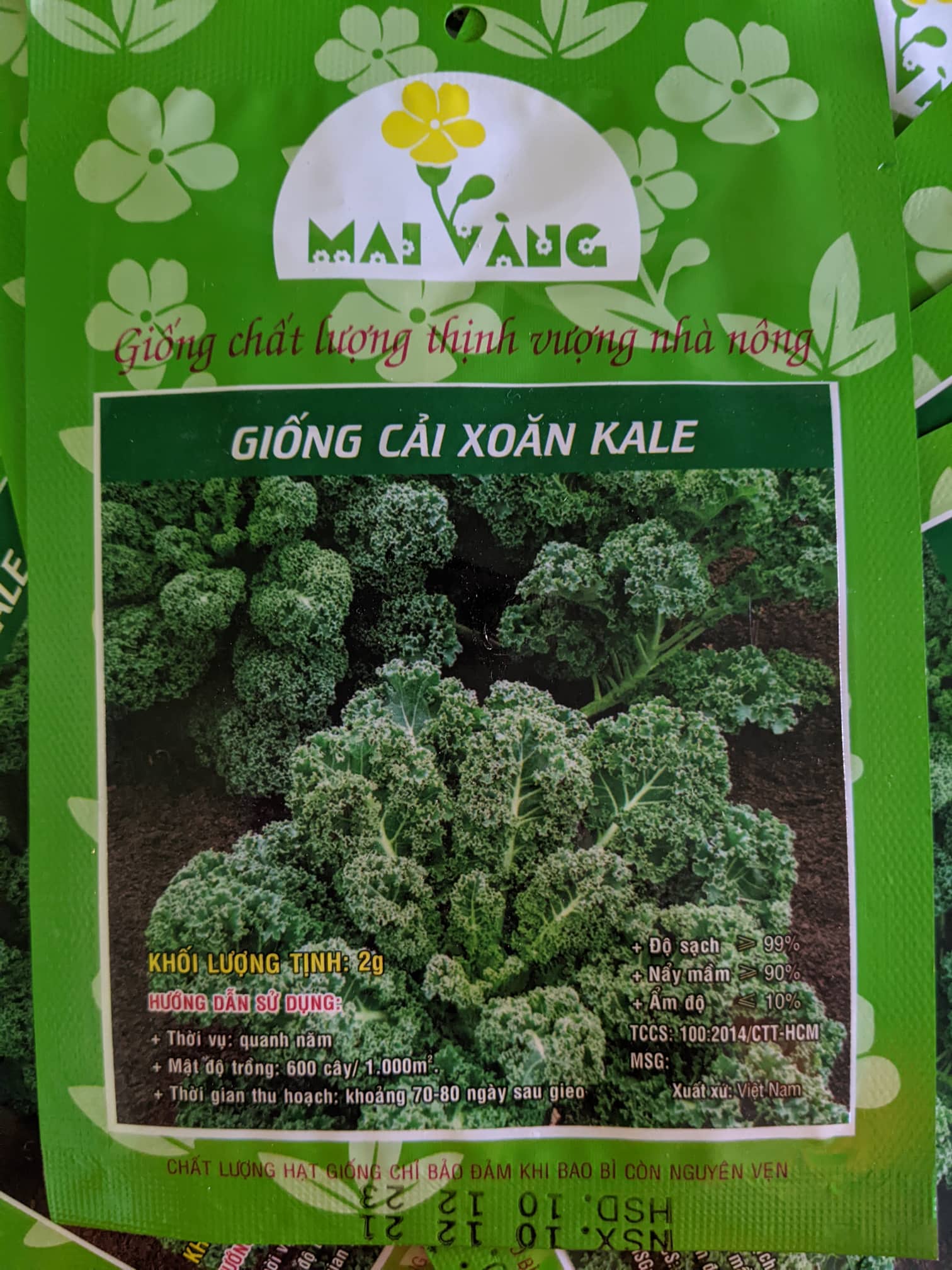 Hạt giống cải xoăn Kale 2g