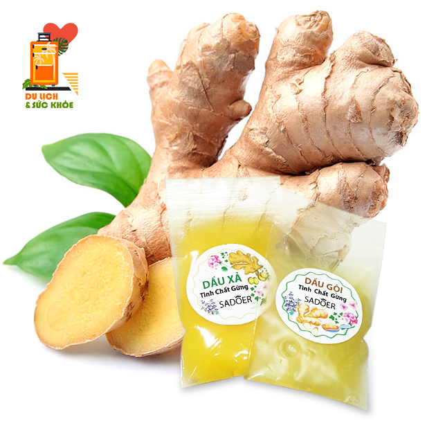 Sadoer Ginger Shampoo Conditioner travel pack