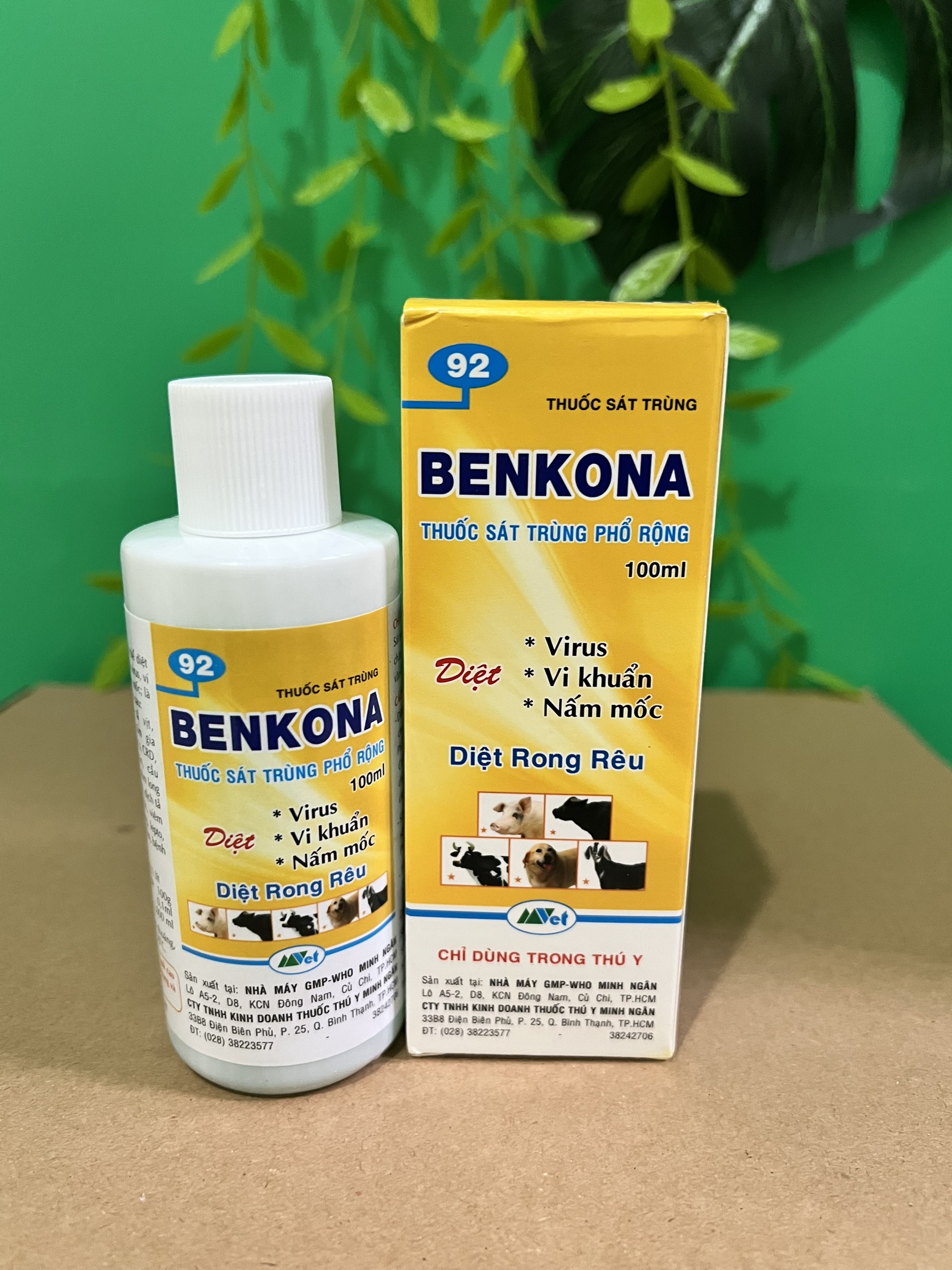Benkona diệt rong rêu trên giá thể trồng dành cho hoa lan cây cảnh