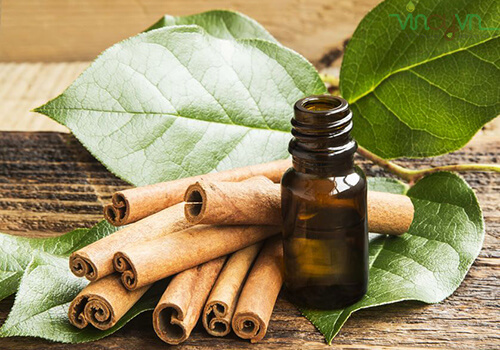Tinh dầu hương Quế Yên Bái nguyên chất lọ 10ml