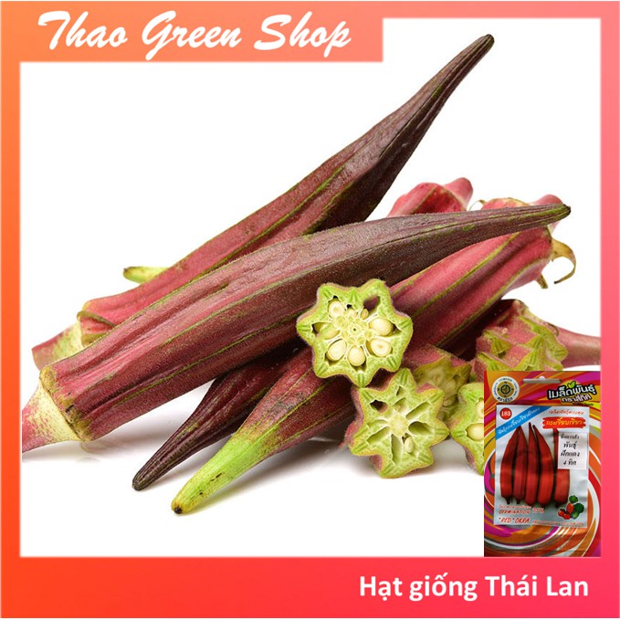 Đậu bắp đỏ okra thái lan