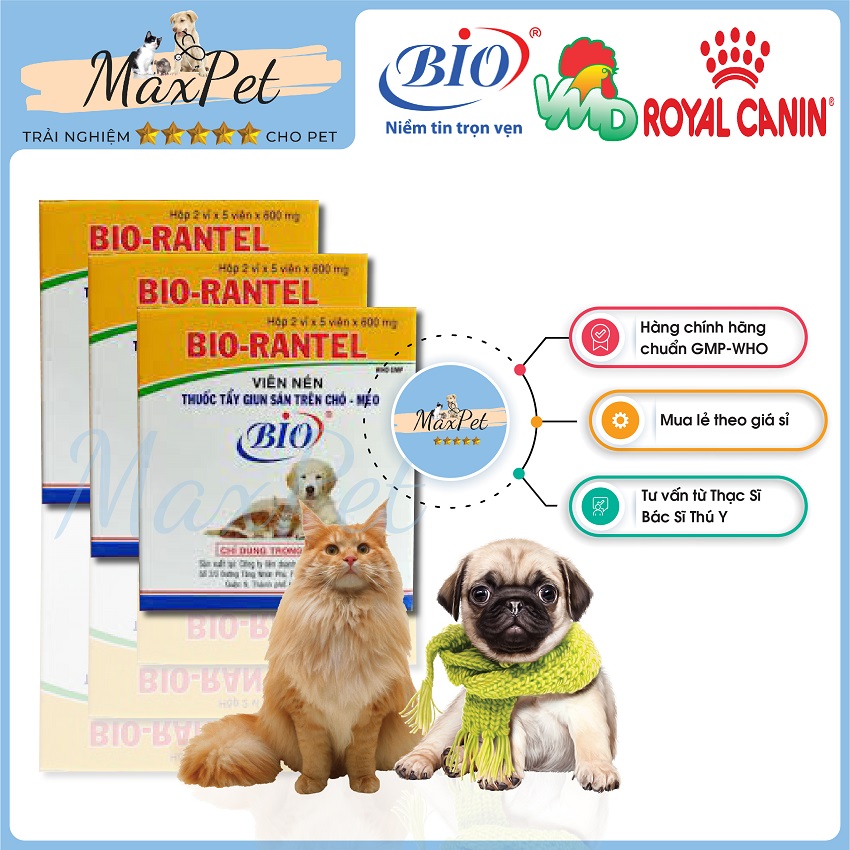 Bio Rantel tẩy giun sán cho chó mèo tác dụng tiêu diệt giun đũa, giun tim