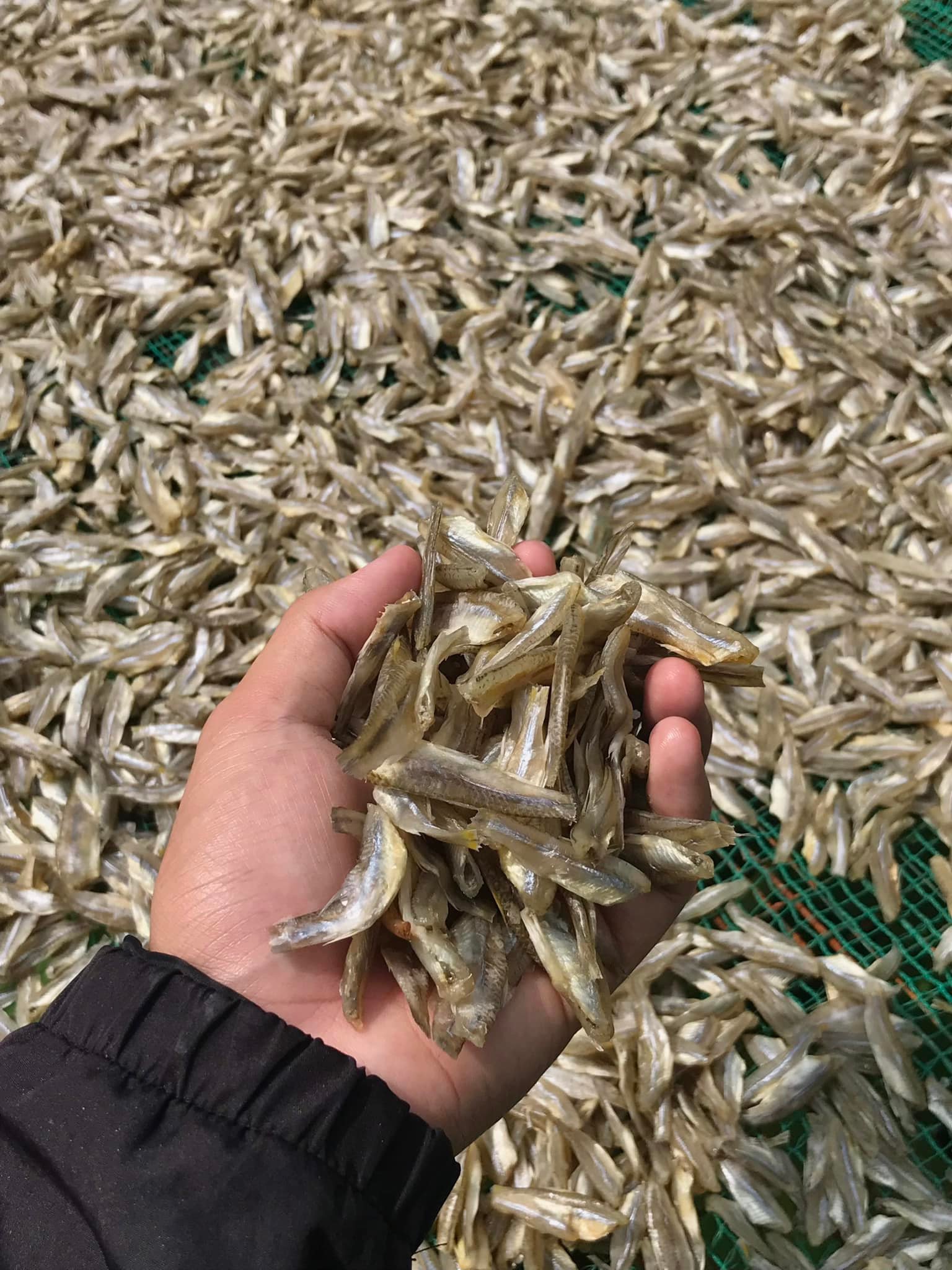 500gram khô cá lòng tong