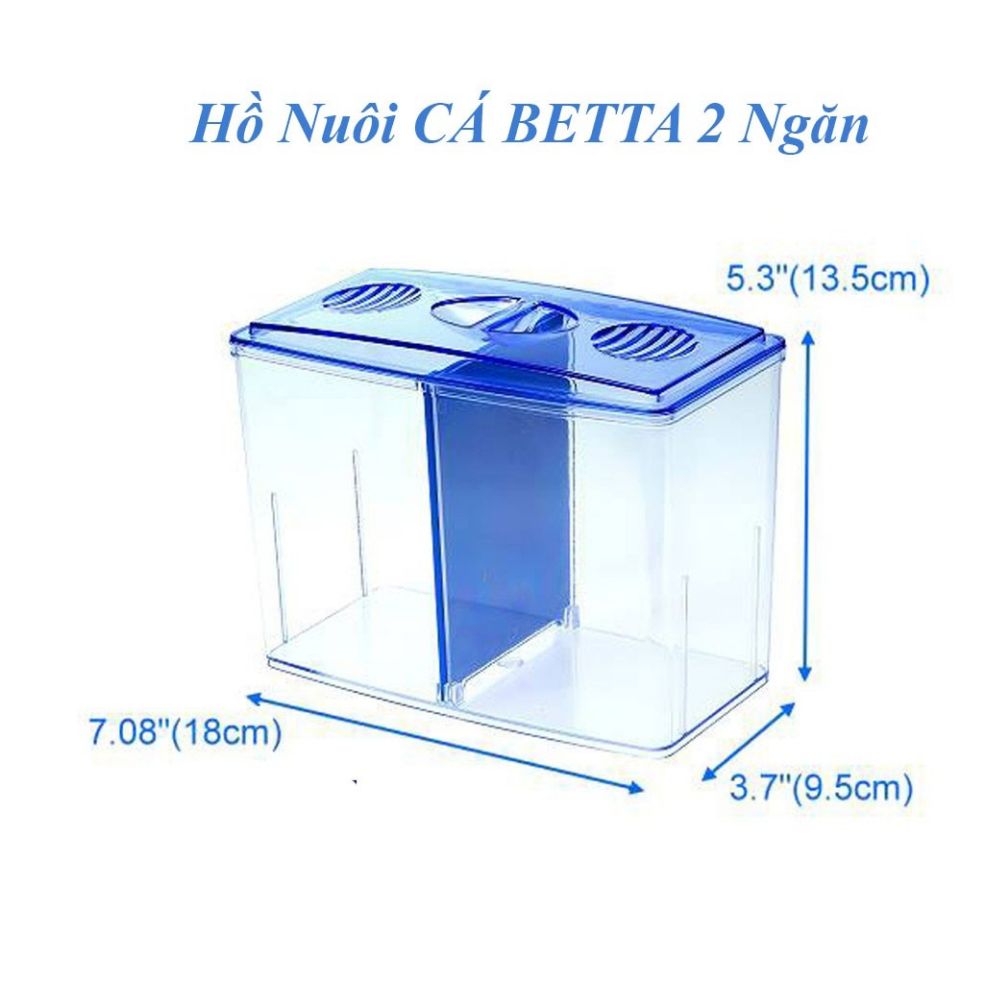 Bể cá mini 2 ngăn bể betta nhựa tháo lắp ngăn tiện lợi
