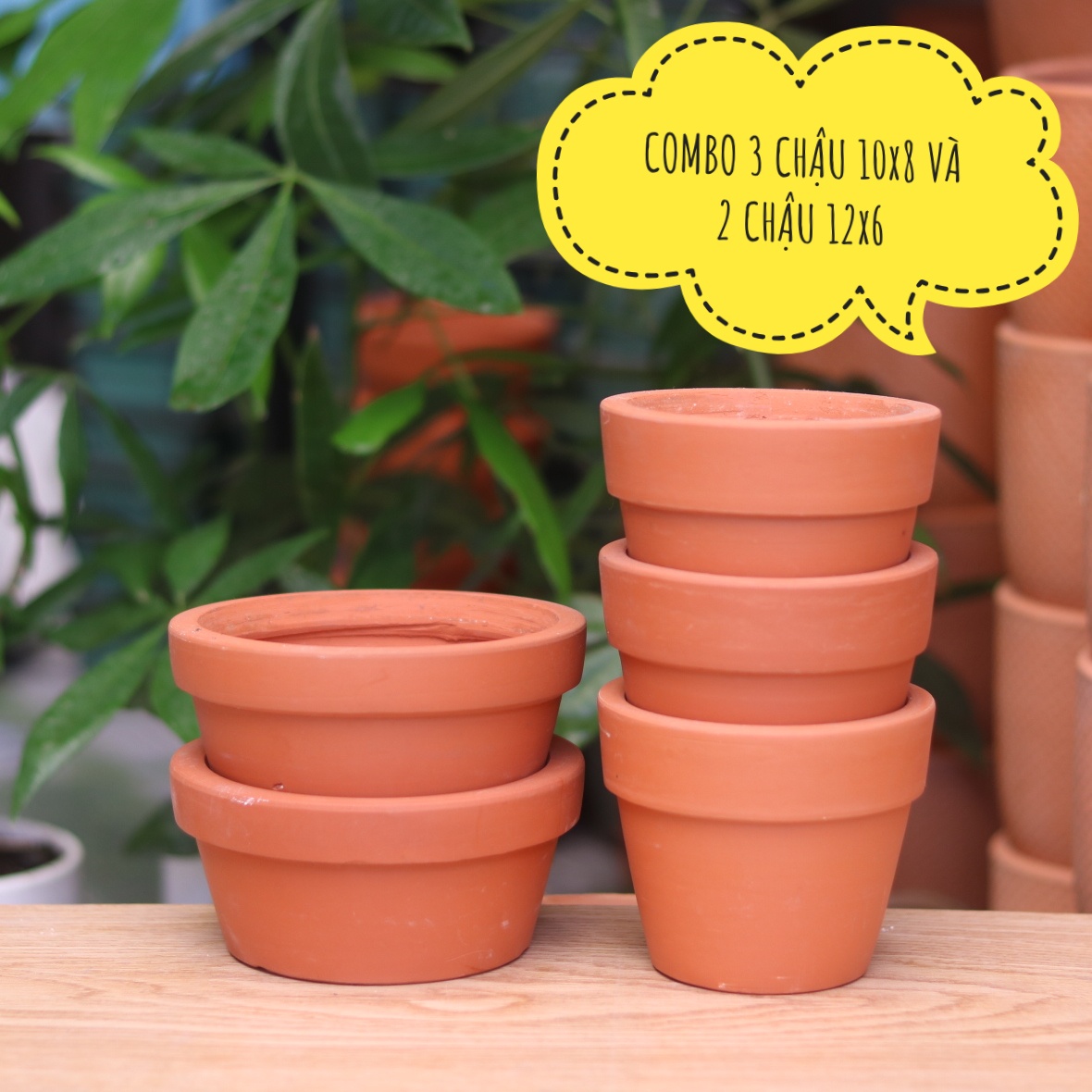 [HCM]COMBO 5 chậu đất nung (Gồm 2 - 12x6 và 3 - 10x8) trồng sen đá xương rồng cây cảnh để bàn
