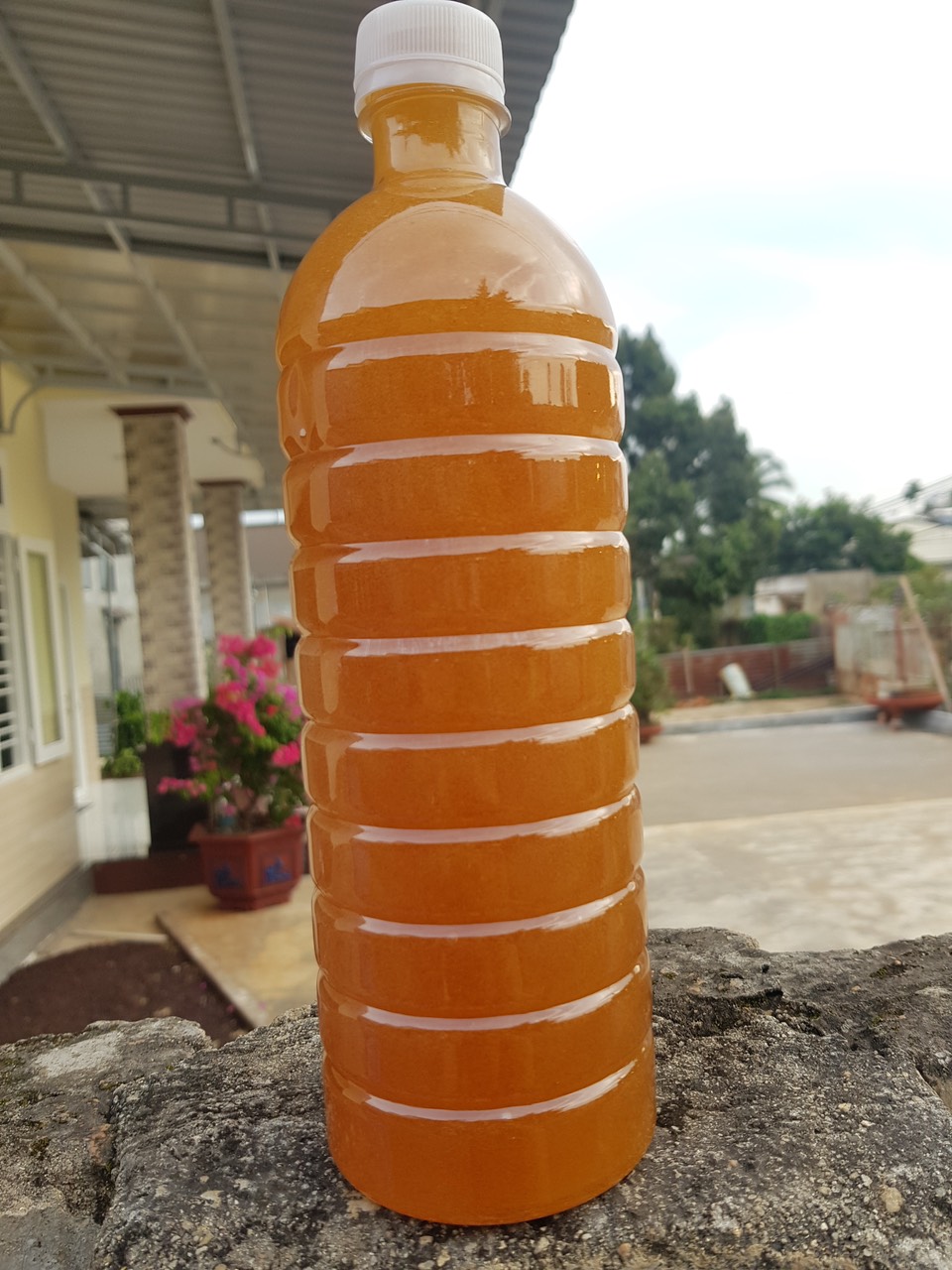 Mật ong hoa cà phê Đắk Lắk 1l chuẩn có giấy cam kết