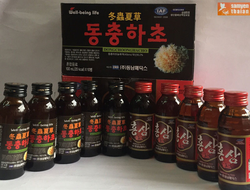 [FreeshipMAX] Combo Nước Hồng Sâm Và Nước Đông Trùng Hạ Thảo Hàn Quốc 20 chai x 100ml, có tác dụng bồi bổ sức khỏe, giảm mệt mỏi, nước sâm hàn quốc, nước hồng sâm chai, Sâm Yến Thai An
