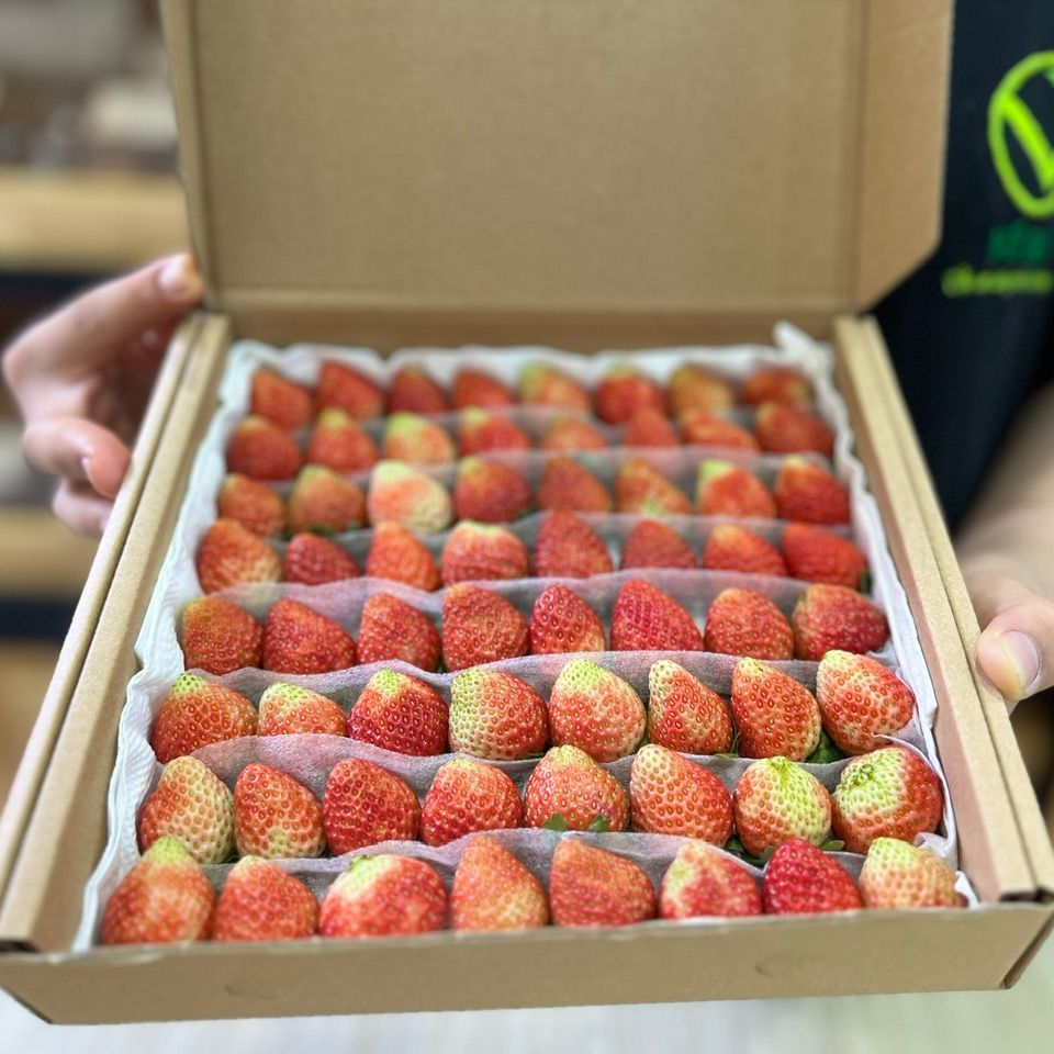 VG FARM Dâu Tây Nhật Sachi Đà Lạt Size 64 - có kèm muối chấm xí muội