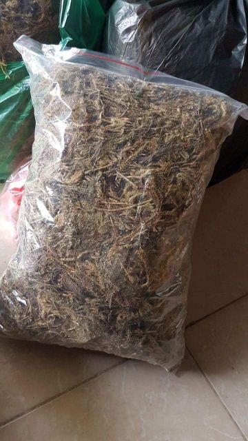 Lá mần tưới trị bọ chó bọ chét túi 1kg