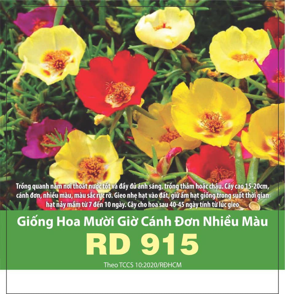 Hạt Giống Hoa Mười Giờ Cánh Đơn Nhiều Màu (100 Hạt)