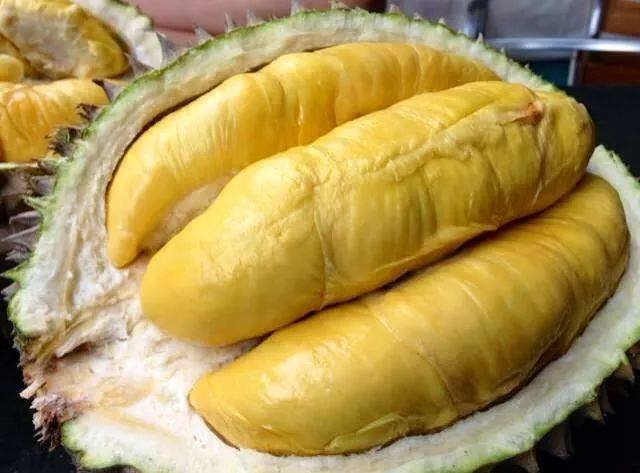Lò nướng Bánh