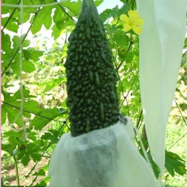  100 CÁI Túi bọc kHỔ QUA DƯA LEO KT 15X30cm có dây rút bằng vải không dệt dùng nhiều mùa Túi bao trái cây Ánh Dương 