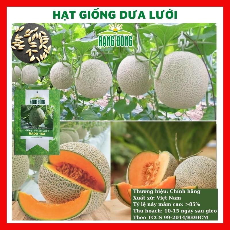 Hạt giống dưa lưới lai f1 - rau củ quả trồng chậu, sân vườn ban công ngon ngọt nảy mầm cao 10 hạt RADO153
