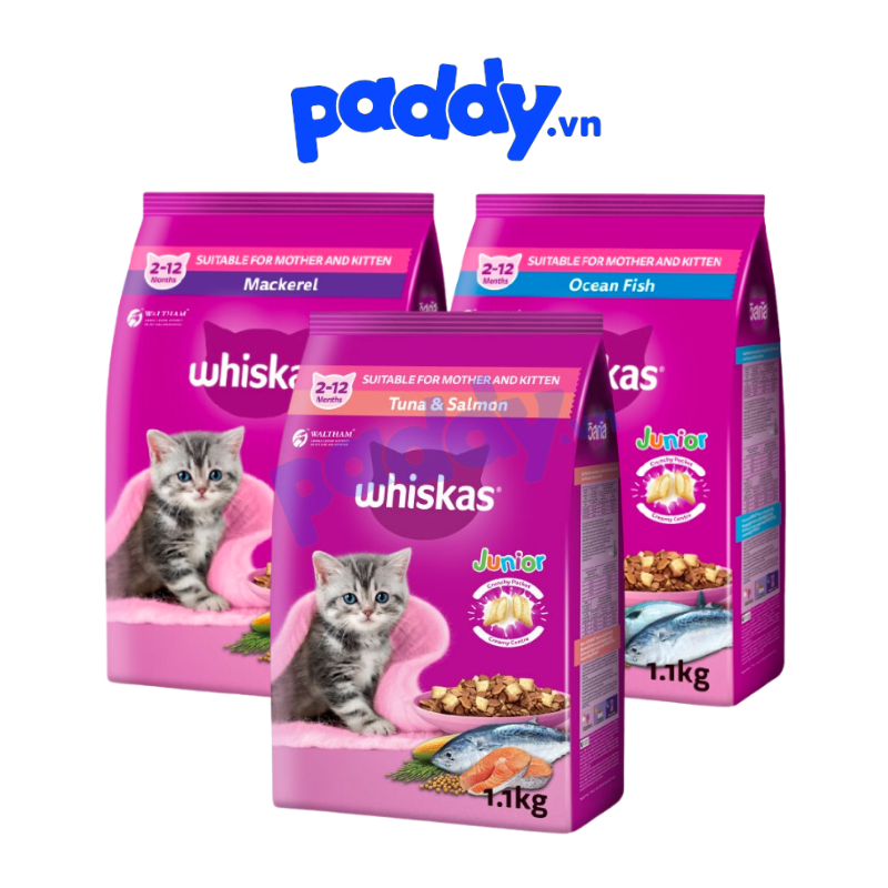 Hạt Whiskas Junior Cho Mèo Con