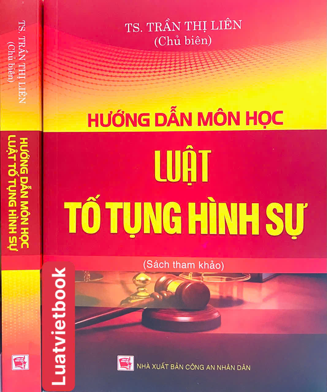 Hướng Dẫn Môn Học Luật Tố Tụng Hình Sự