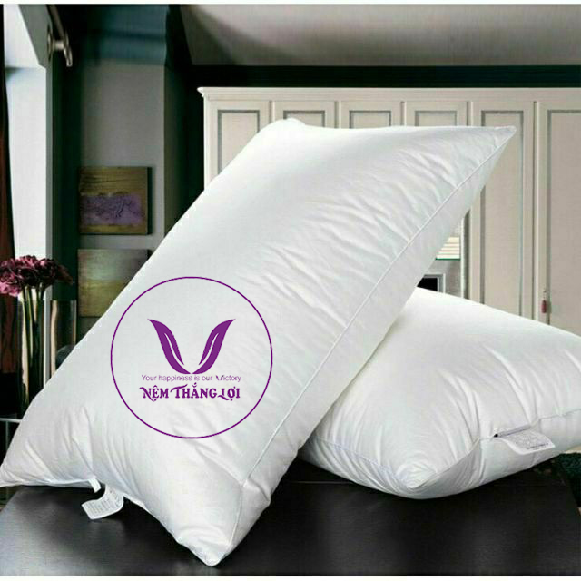 [HCM][Drap Nệm Thắng Lợi] - Gối Hơi Nằm Thắng Lợi Size 50 x 70 x 10cm