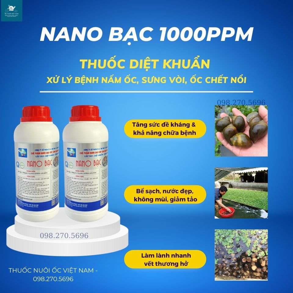 Combo 2 chai nano bạc 1000ppm khử khuẩn nước, xử lý sưng vòi, ốc chết không rõ nguyên nhân, mòn đít, mẻ miệng, xử lý môi trường nước cho ốc bươu đen, ốc nhồi hiệu quả