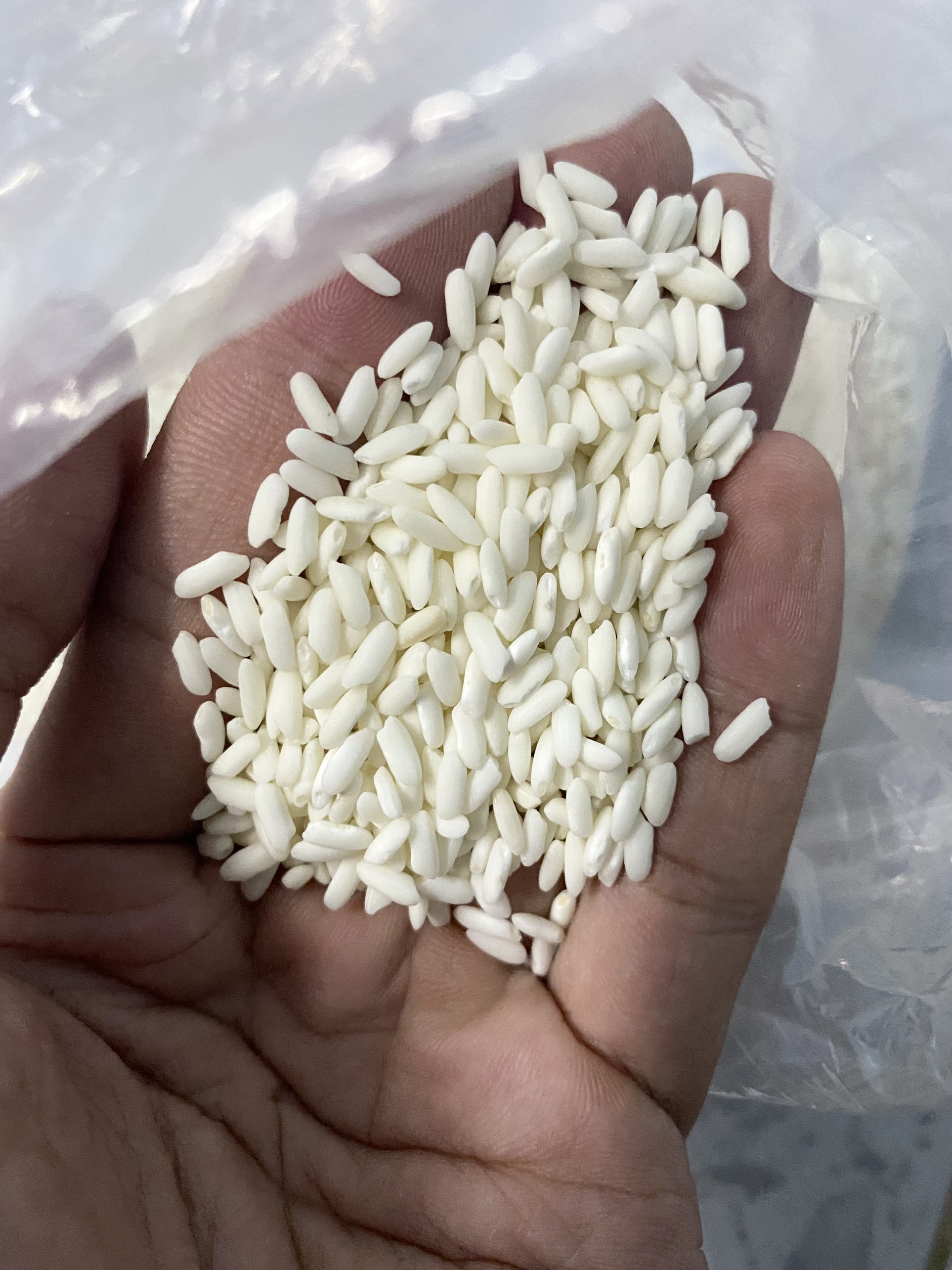Nếp cái hoa vàng 1kg
