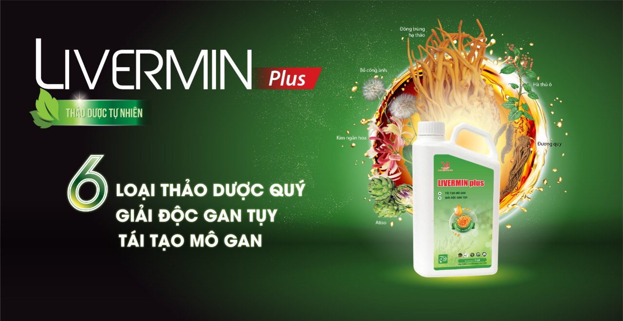 LIVERMIN plus LÀ THỨC ĂN BỔ SUNG GIÚP GIẢI ĐỘC GAN TỤY GIÚP ĐÀN TÔM GAN