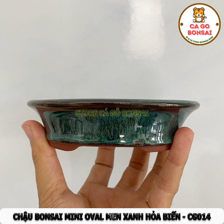 Chậu bonsai mini oval men xanh hỏa biến - cg014