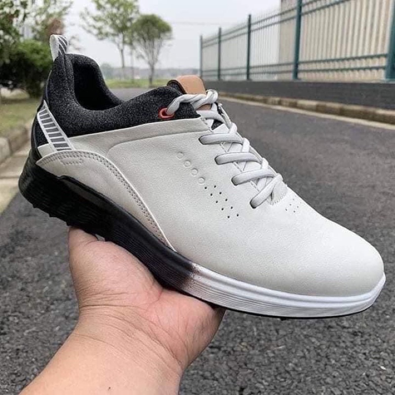 Giày golf ecco nam dây buộc mẫu mới