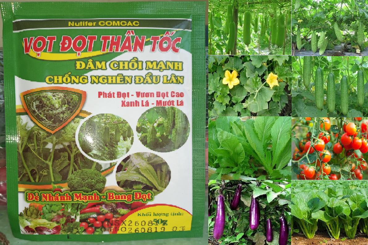 Phân bón lá Vọt Đọt Thần Tốc 50gr