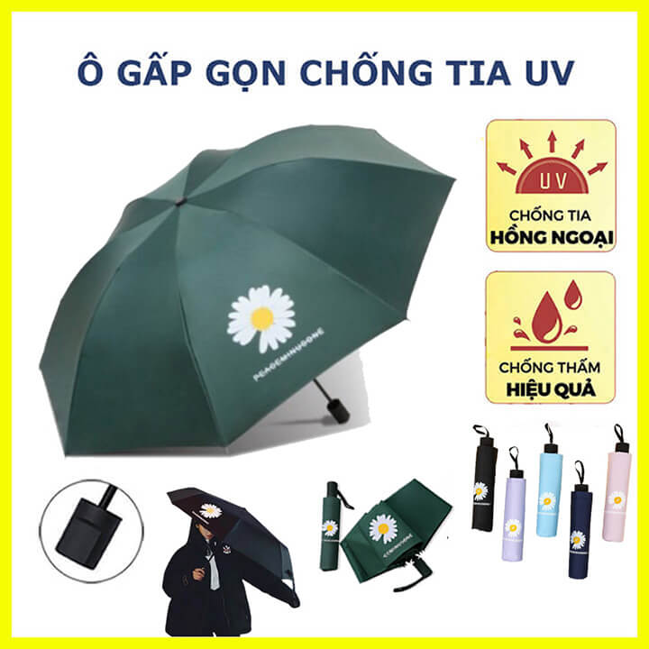 DÙ ĐI MƯA UV 2 CHIỀU HÌNH BÔNG CÚC-Ô dù họa tiết hoa cúc 2 lớp chắc chắn, Ô dù che mưa gấp gọn chống