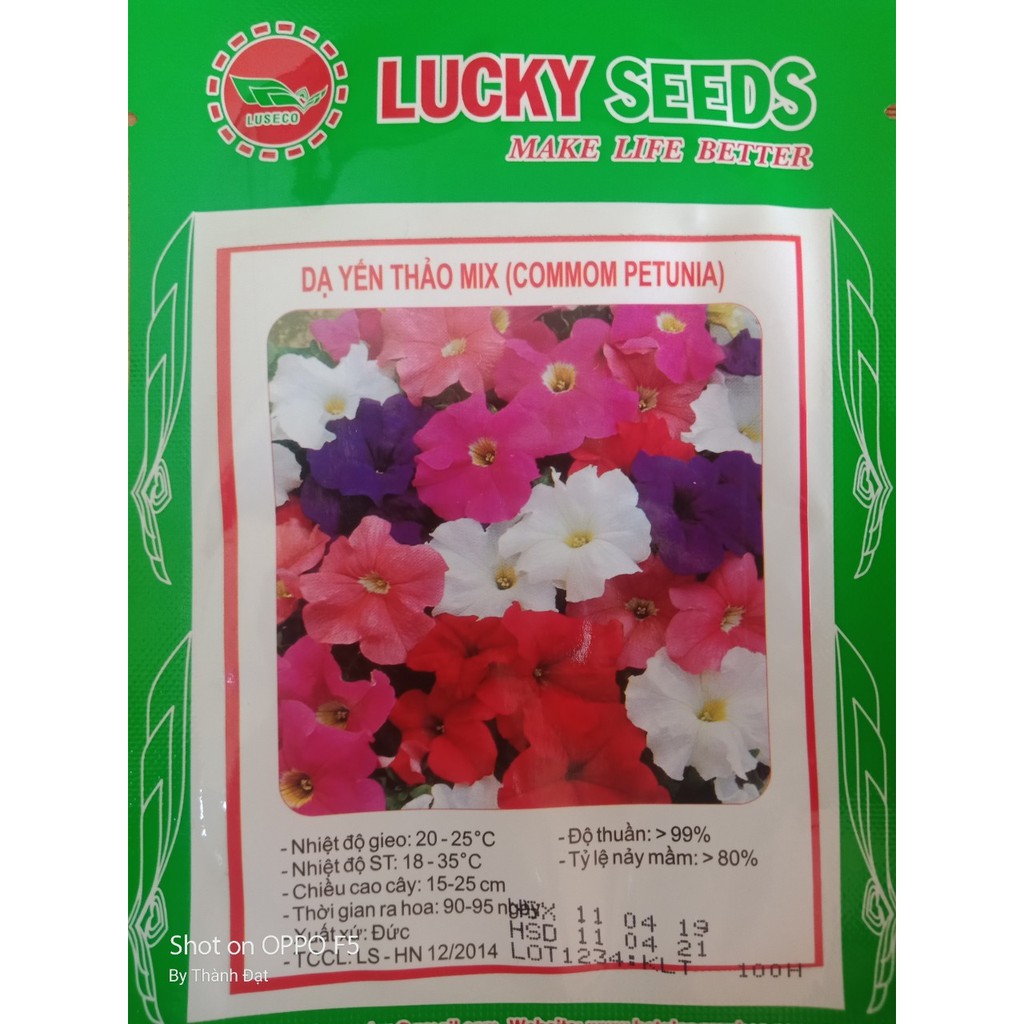 Hạt giống dạ yến thảo mix gói 100 hạt