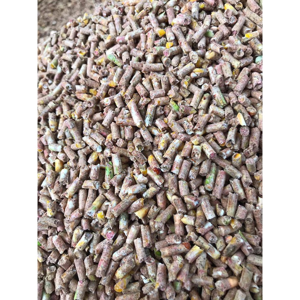 1kg ngũ cốc ép cám viên cho gà, vịt, bồ câu