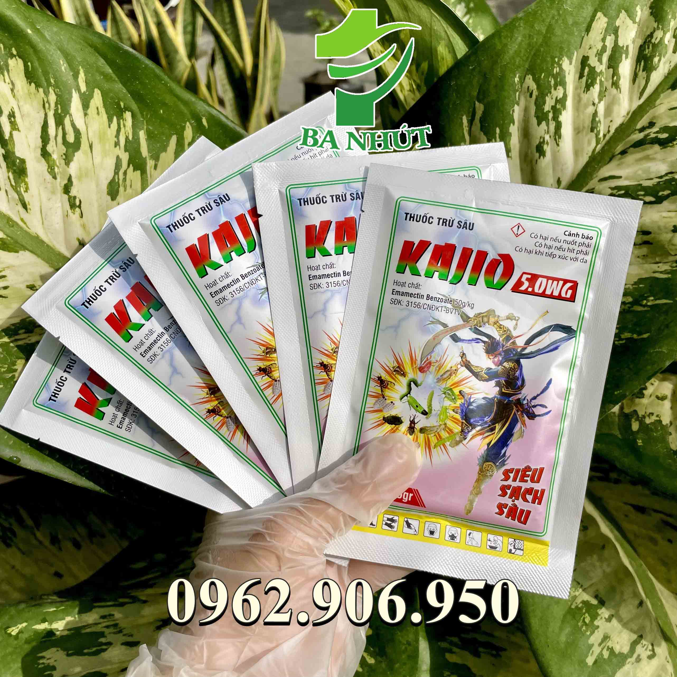 Kajio 5wg 15g – đặc trừ sâu phao đục bẹ, sâu xanh, sâu đục thân, sâu cuốn lá, bọ trĩ