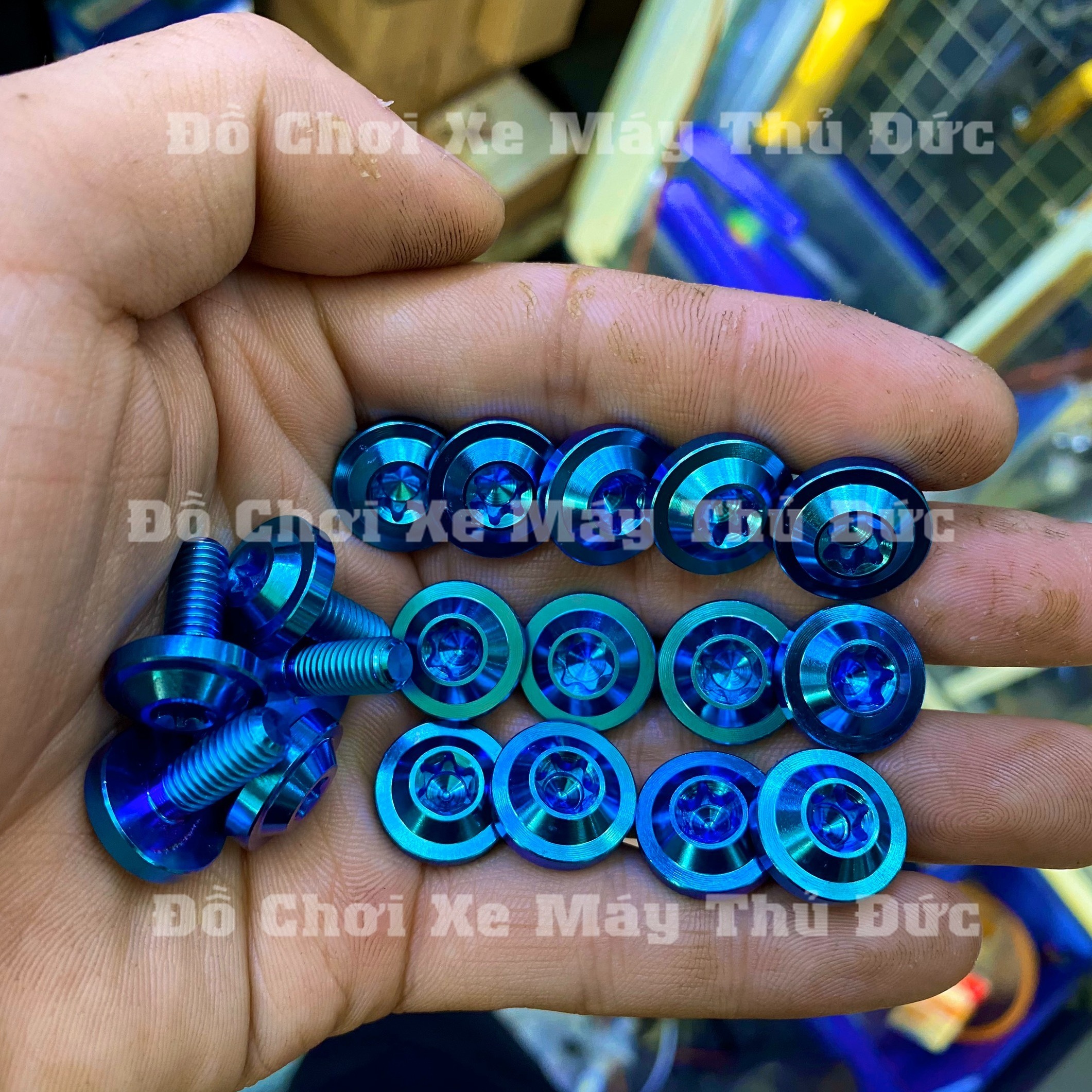 [HCM](Combo 5 con) Ốc Titan Gr5 6li 15 phân dù