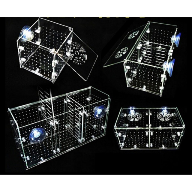 [HCM]Lồng Tách Dưỡng Cá Tép Mica Siêu Trong (Box Dưỡng Tép) - ĐÔI - 20x10x10cm