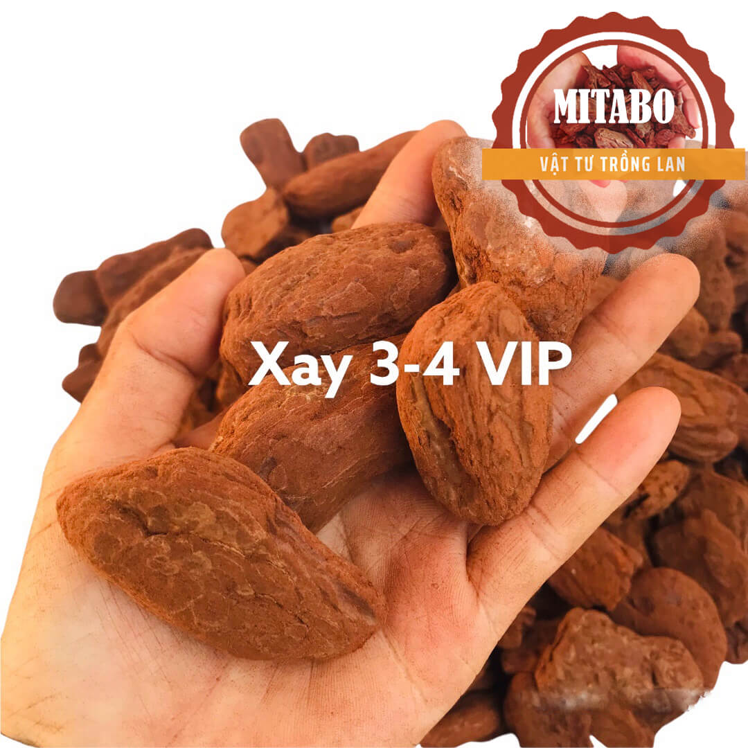 1kg vỏ thông trồng lan giá thể trồng lan đã qua xử lý loại xay kích thước 3-4cm VIP vỏ thông đỏ Mitabo