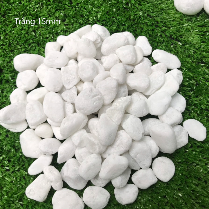 3kg sỏi trắng bể cá