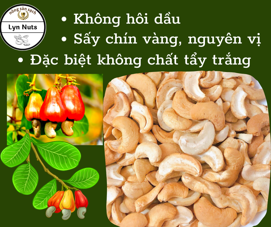 500g hạt điều bể đôi sấy chín nguyên vị, hạt điều rang không muối, sạch lụa