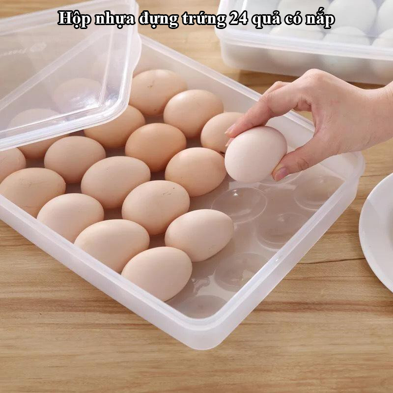 Hộp đựng trứng 24 quả có nắp nhựa, hộp bảo quản trứng 24 ô tiện lợi- Baohungstore
