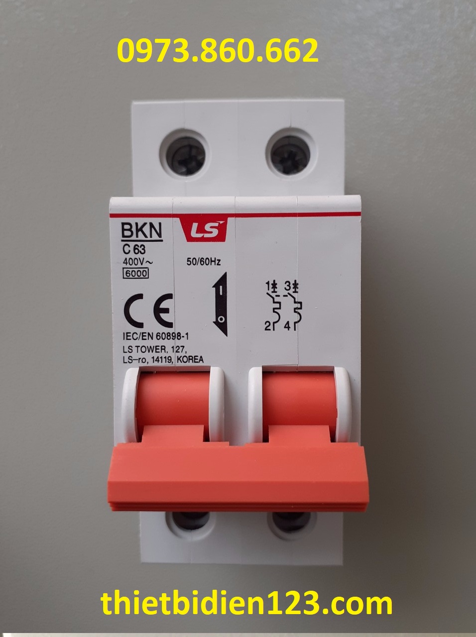 Aptomat LS MCB 2P 10A ~ 63A