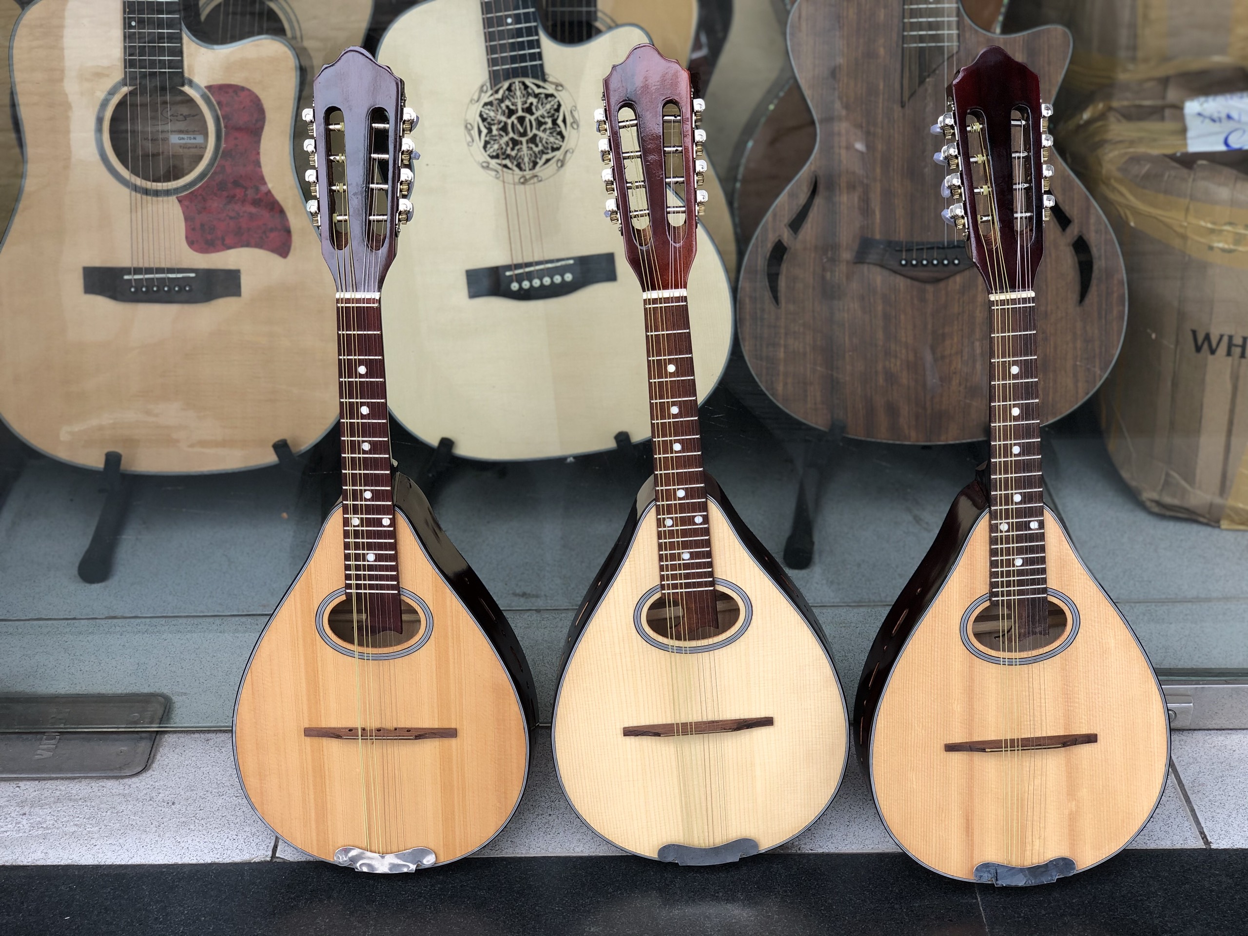 Đàn mangdolin Việt Nam