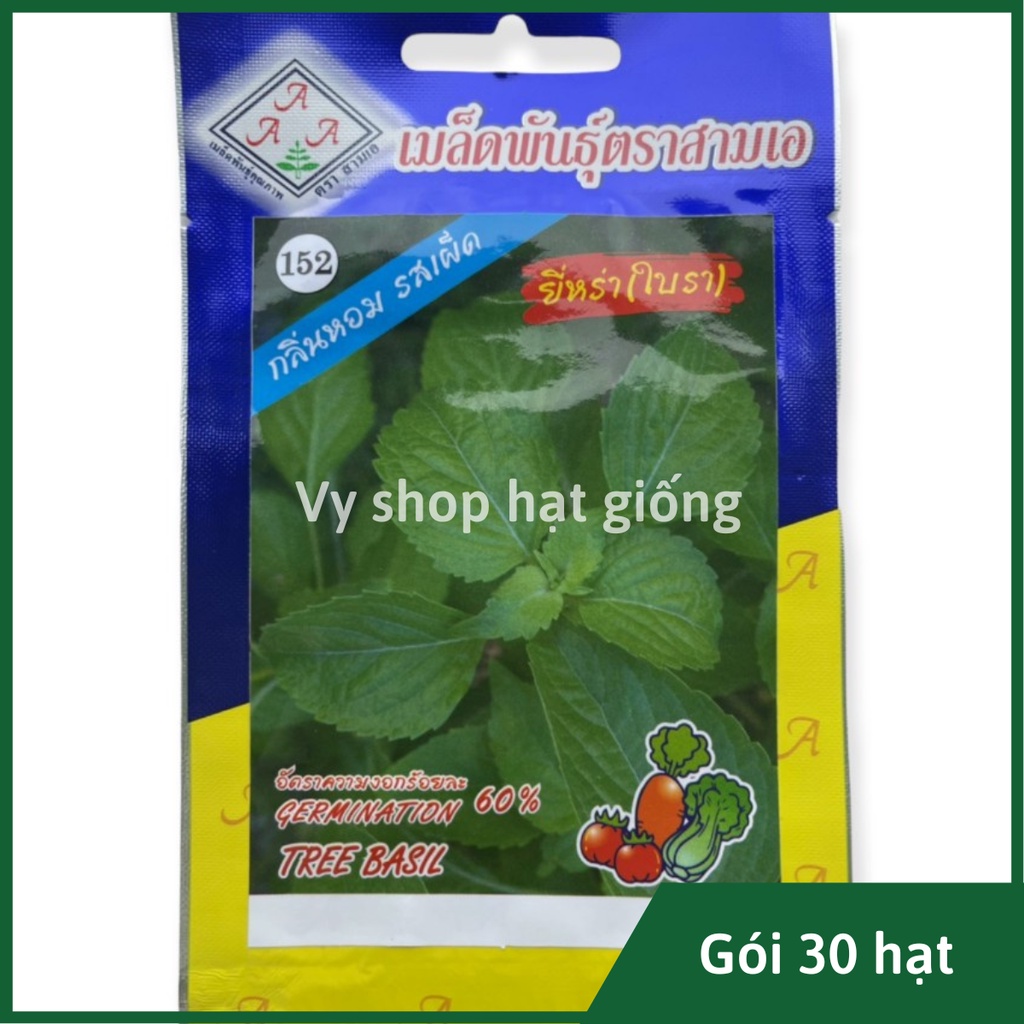 Hạt giống húng quế tây Thái Lan gói 30 hạt