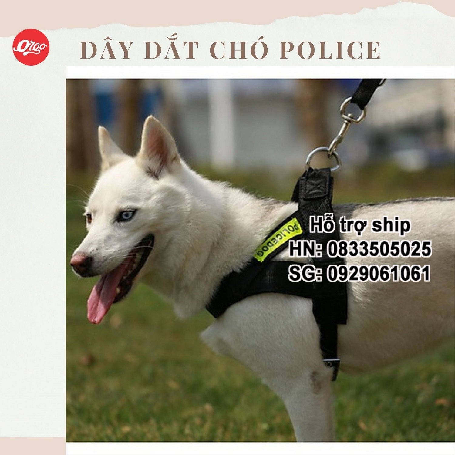 Orgo - Bộ Dây dắt chó police phản quang (3 size) dây dắt kèm yếm đai yên ngựa Xích vải cho chó 'cảnh s'át nghiệp vụ xích chó mèo