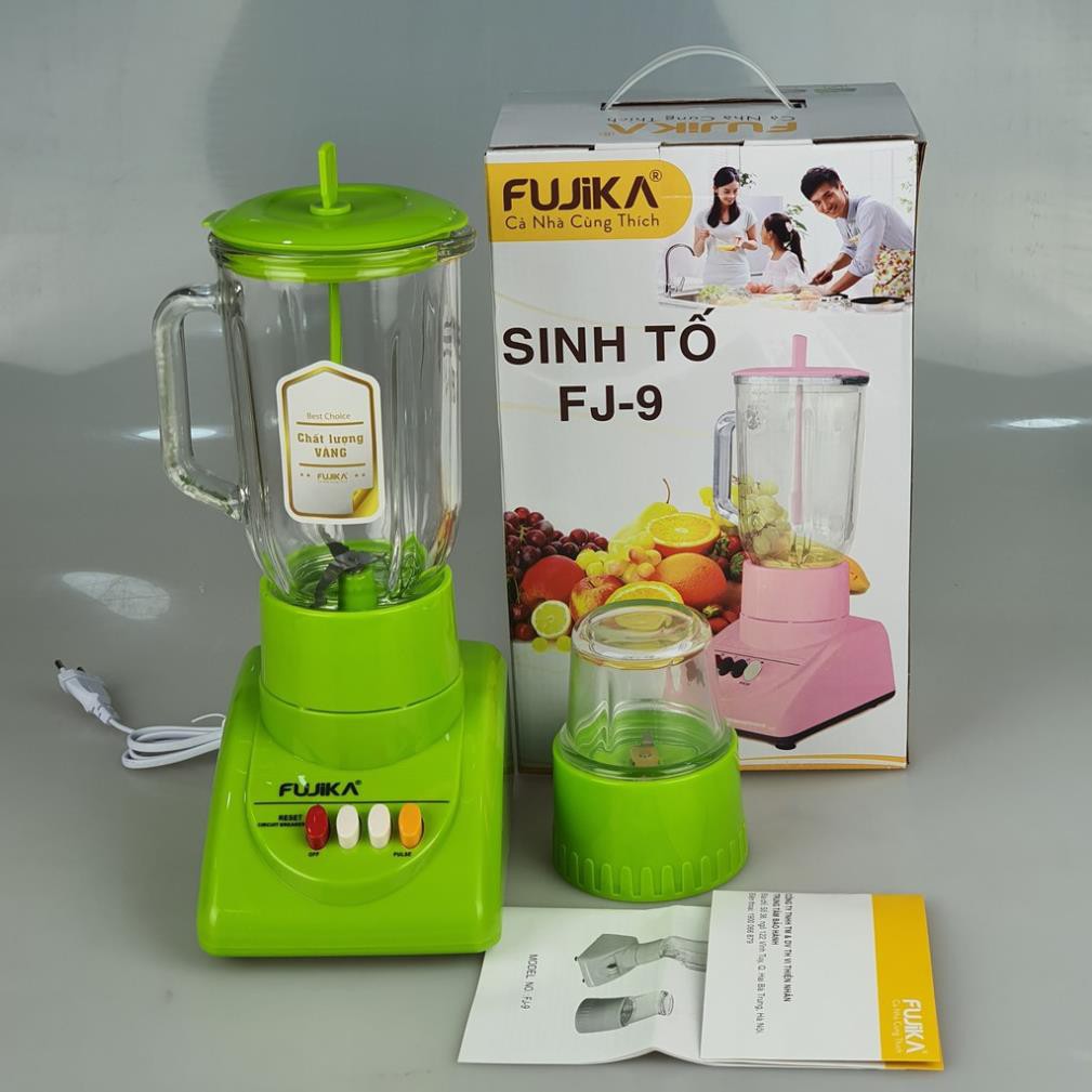 Máy xay sinh tố đa năng xay thịt rau hoa quả 2 cối công suất 300W Fujika FJ-9