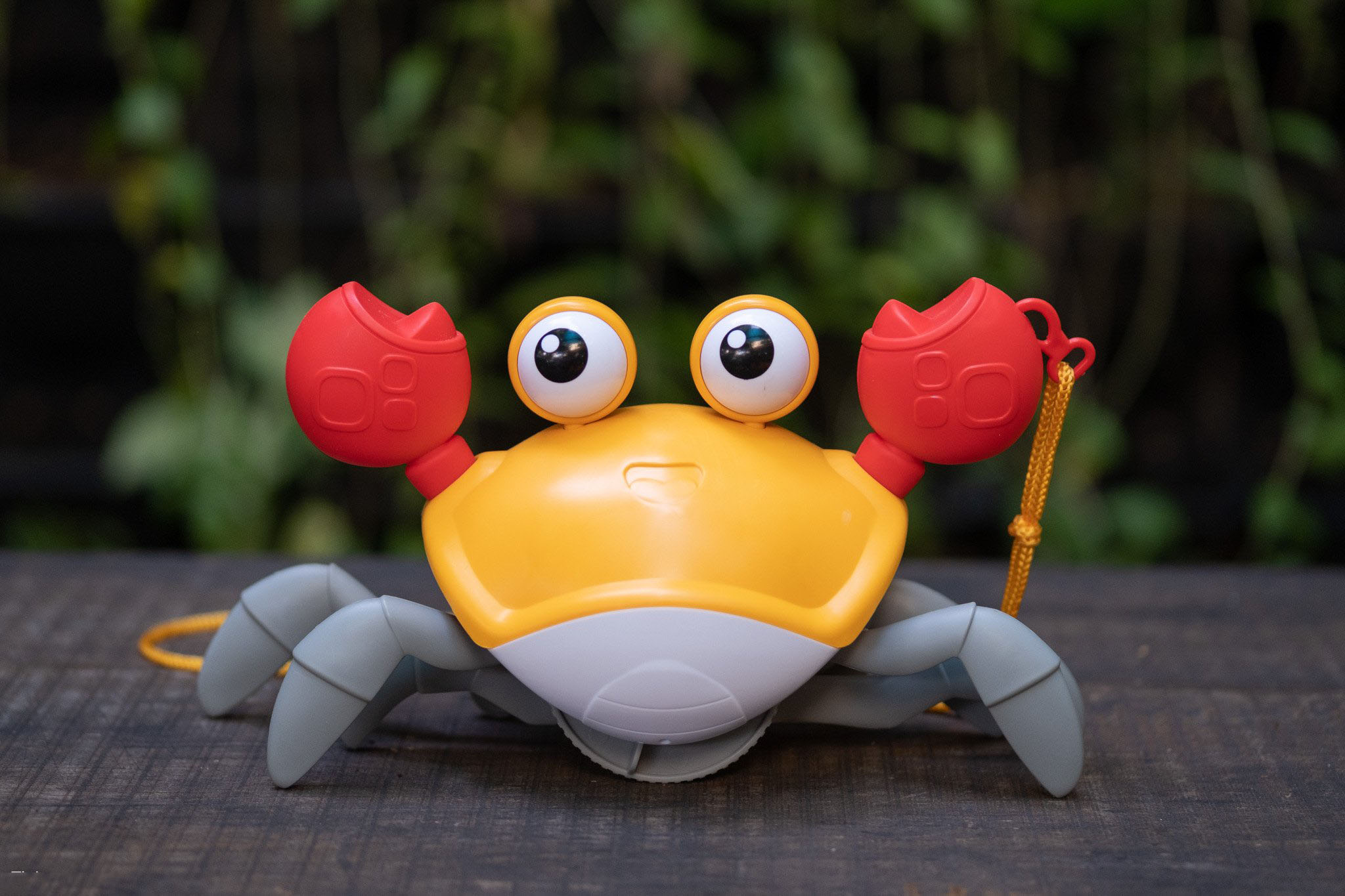 Đồ chơi nước cho bé tắm hình con cua cute
