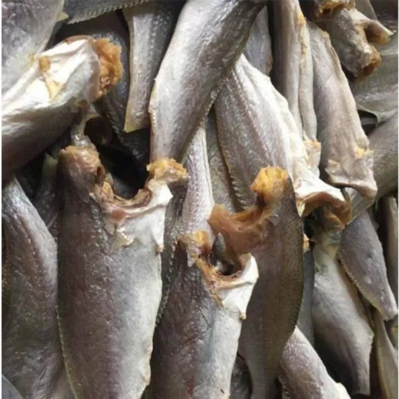 Khô cá đù đặc biệt thơm ngon(mặn-size nhỏ shop ngọc giàu