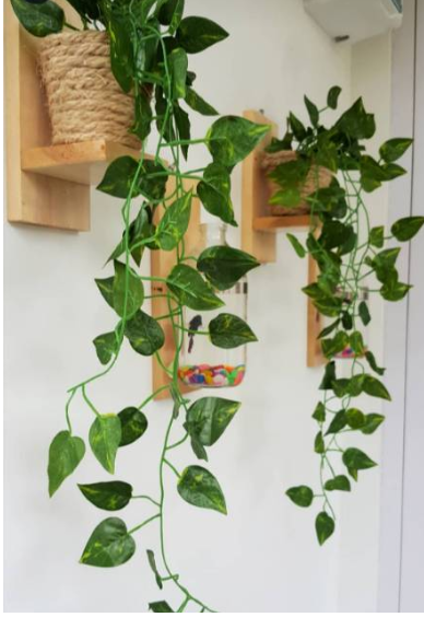 kệ treo cây cảnh xinh xinh kệ để đồ lưu niệm không cần khoan tường kích thước 25x8x8