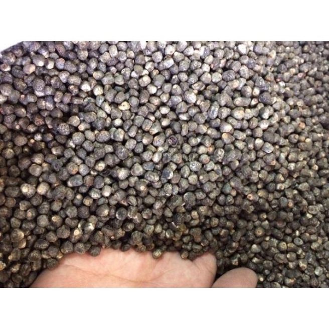 Sỉ toàn quốc 1kg hạt chuối hột rừng